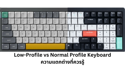 Low-Profile vs Normal Profile Keyboard ความแตกต่างที่ควรรู้